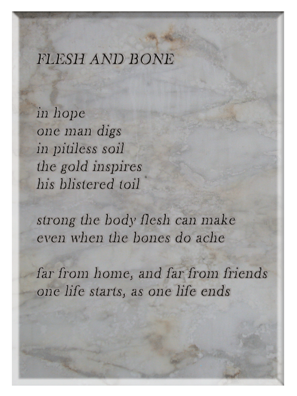 Flesh and Bone poem
